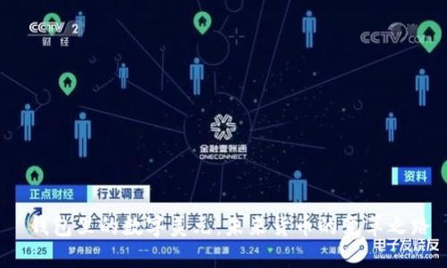 钱包里的数字美元:未来货币的变革之路
