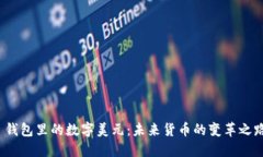  钱包里的数字美元：未来货币的变革之路