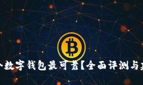 哪个数字钱包最可靠？全面评测与建议