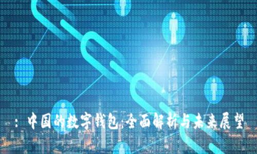 : 中国的数字钱包：全面解析与未来展望