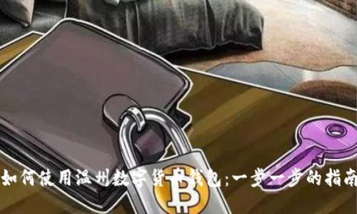 如何使用温州数字货币钱包：一步一步的指南