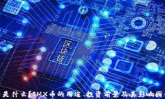 IMX币是什么？IMX币的用途、投资前景及其影响因