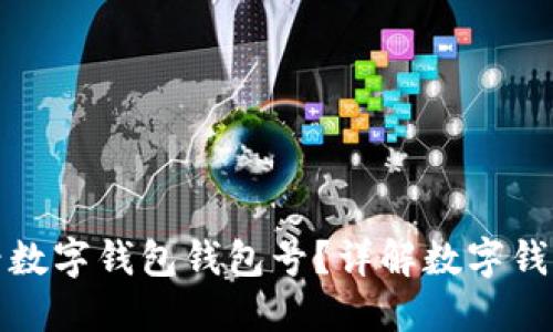 : 如何查看数字钱包钱包号?详解数字钱包使用窍门