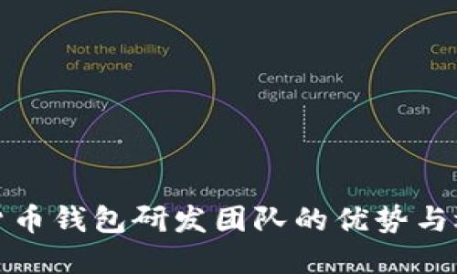 : 数字货币钱包研发团队的优势与选择指南