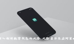 深入剖析数字钱包的风险：风险案件及