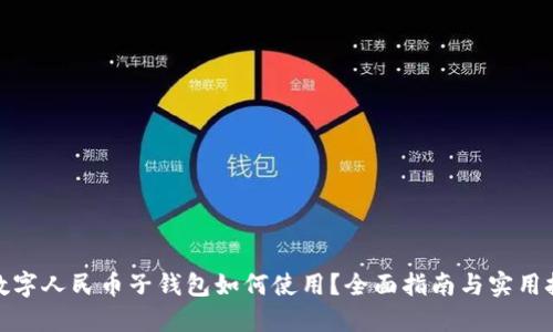 : 数字人民币子钱包如何使用?全面指南与实用技巧