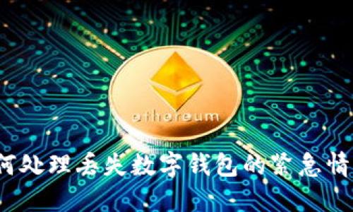 如何处理丢失数字钱包的紧急情况?