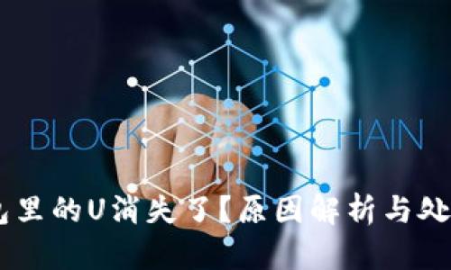 IM钱包里的U消失了?原因解析与处理方法