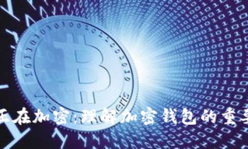 盛钱包数据正在加密:理解加密钱包的重要性与安全性