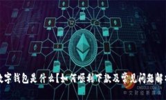 数字钱包是什么？如何顺利下款及常见问题解析