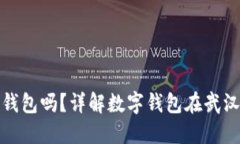 武汉能用数字钱包吗？详解数字钱包在