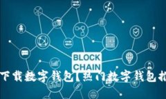 国内哪里还能下载数字钱包？热门数字