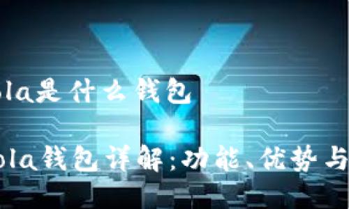 区块链hola是什么钱包
区块链Hola钱包详解:功能、优势与使用指南