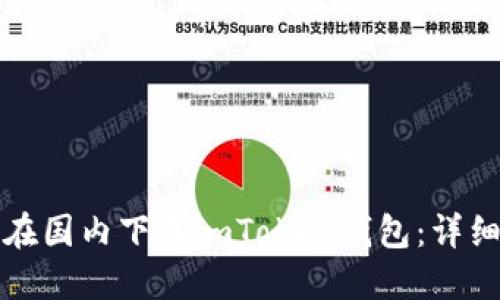 如何在国内下载imToken钱包：详细指南