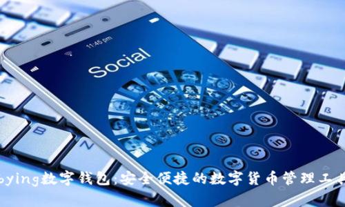 bying数字钱包:安全便捷的数字货币管理工具