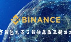 数字钱包充不了钱的原因及解决方法