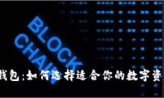  数字货币钱包：如何选择适合你的数
