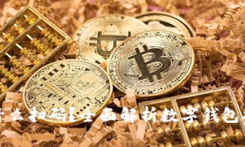 : 数字钱包用什么扫码?全面解析数字钱包扫码方式与应用