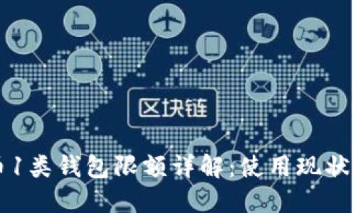 数字人民币1类钱包限额详解:使用现状与未来展望