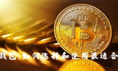 NFT数字钱包：如何选择和使用最适合你