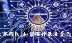 全球最大数字钱包：如何选择最适合你