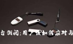 数字钱包平台倒闭：用户该如何应对与