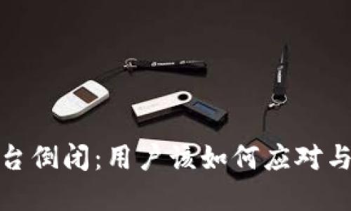 数字钱包平台倒闭:用户该如何应对与未来的选择