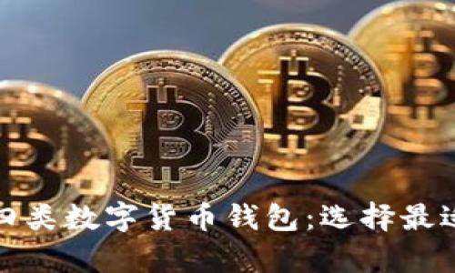 : 全面解析四类数字货币钱包:选择最适合你的类型