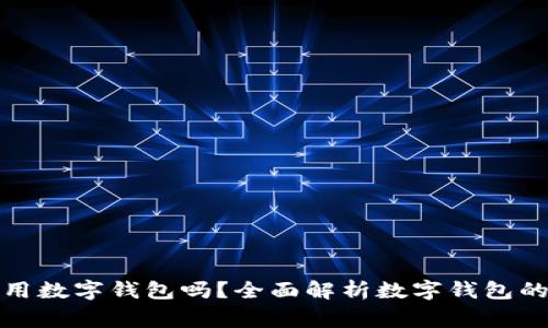 : 全家能用数字钱包吗?全面解析数字钱包的家庭应用