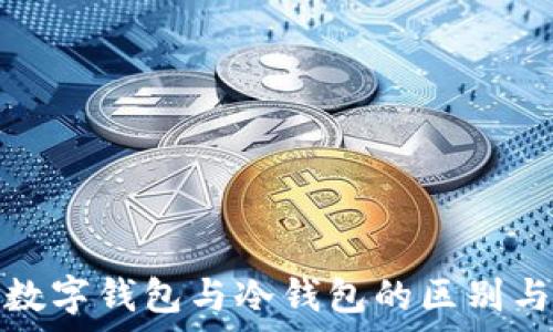 全面解析数字钱包与冷钱包的区别与使用情况
