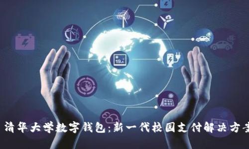 清华大学数字钱包:新一代校园支付解决方案