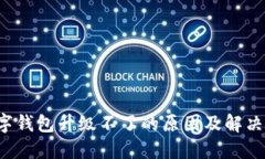  数字钱包升级不了的原因及解决方法