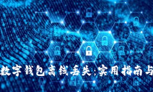 如何防止数字钱包离线丢失:实用指南与解决方案