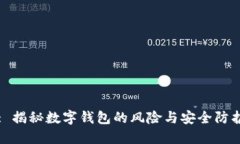 : 揭秘数字钱包的风险与安全防护