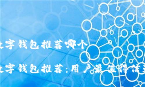 安全的数字钱包推荐哪个
安全的数字钱包推荐:用户最值得信赖的选择