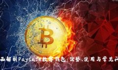  全面解析Paysafe数字钱包：优势、使用