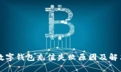 中国数字钱包充值失败原因及解决方案