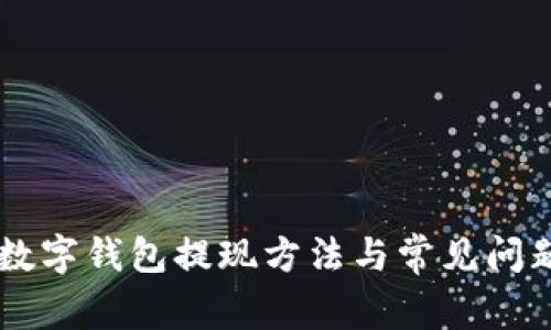 手机数字钱包提现方法与常见问题解答