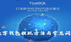 手机数字钱包提现方法与常见问题解答