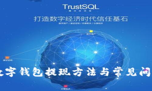 手机数字钱包提现方法与常见问题解答