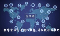 : 数字货币怎么转入钱包：详细教程与