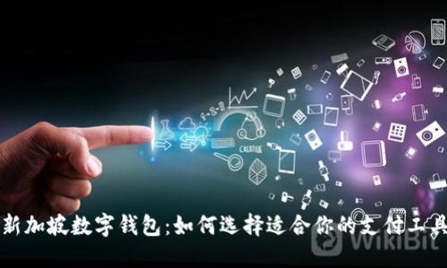 新加坡数字钱包:如何选择适合你的支付工具