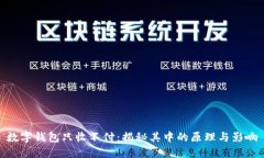 数字钱包只收不付：揭秘其中的原理与