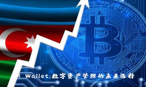 IM Wallet:数字资产管理的未来选择