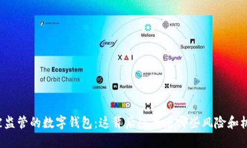 不被监管的数字钱包:这背后隐藏着哪些风险和机遇?