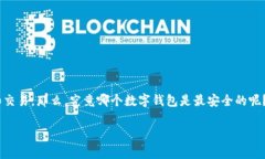 数字钱包哪家安全？这个问题在当今社