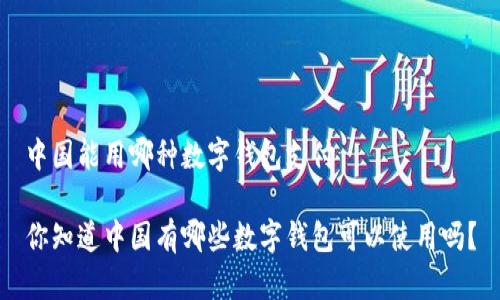 中国能用哪种数字钱包支付

你知道中国有哪些数字钱包可以使用吗？