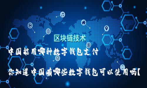 中国能用哪种数字钱包支付

你知道中国有哪些数字钱包可以使用吗？