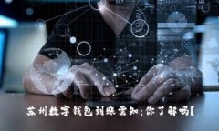 苏州数字钱包到账需知：你了解吗？