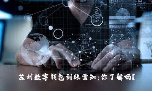 苏州数字钱包到账需知:你了解吗?